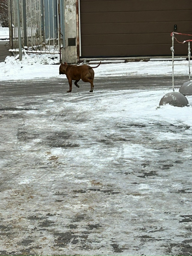 Бегает Стаффорд у Дикси на верхней, побежал в сторону с...