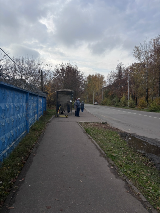 текстильная улица , возле остановки лежит котик не в оч...