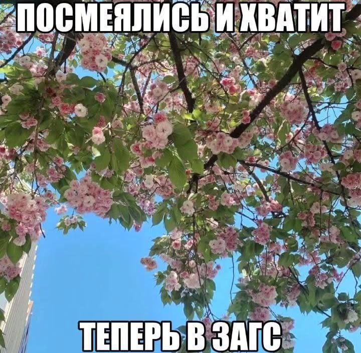 Утренняя подборочка