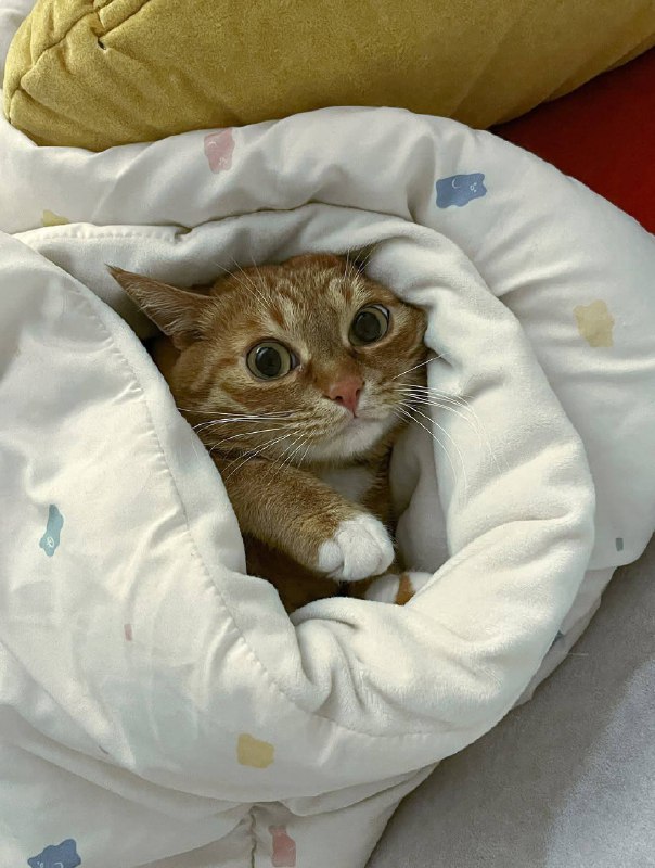 Ну идем уже споть, я же жду тибя в кроватке :3