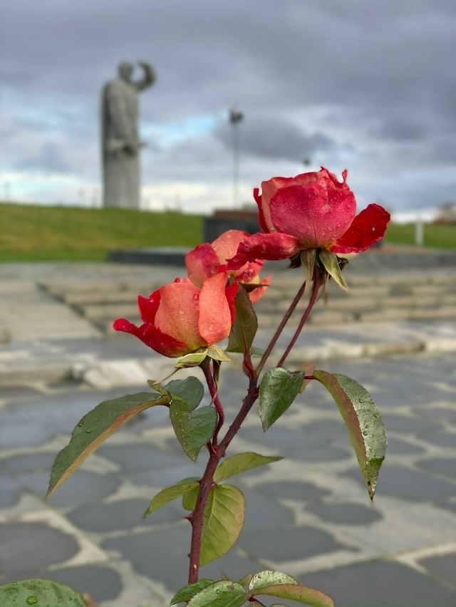 Доброе утро 🤍Волоколамск☕