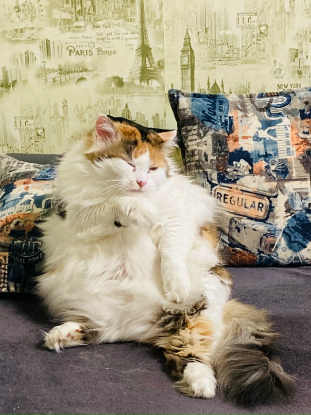 Сильвия и Сонечка 💖