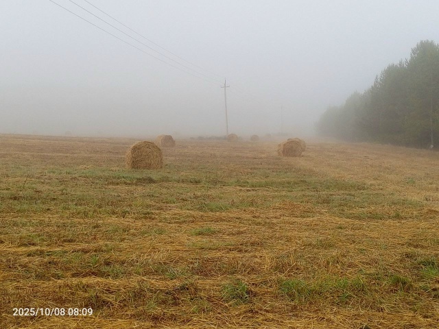 Ну как же не любить Россию?
Я тут родился, вырос и живу! ...