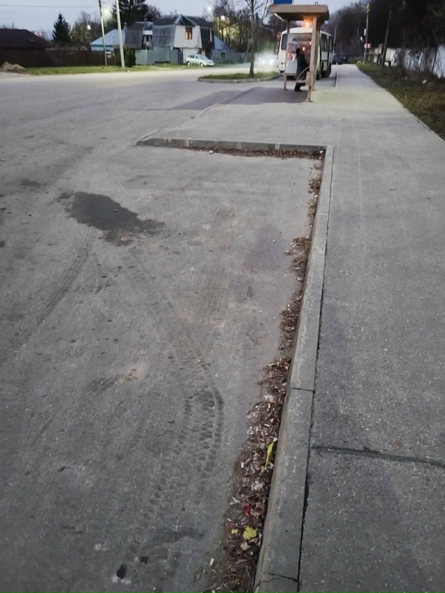 Тула в последнее время стала намного чище, но это не ка?...