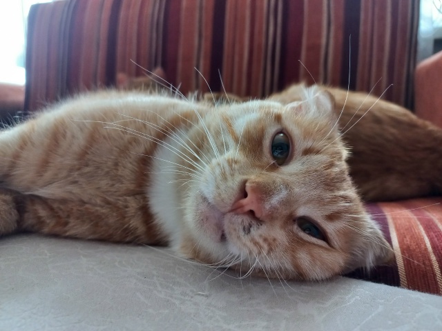 Валерий I Великолепный Чебуречный