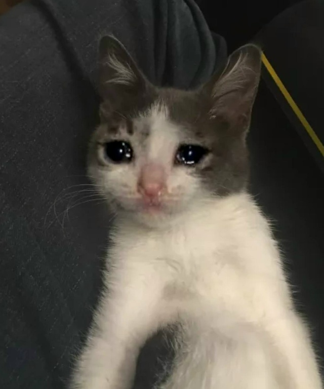 🗣️ Хозяин квартиры, в которой я живу и снимаю с 2022 год?...