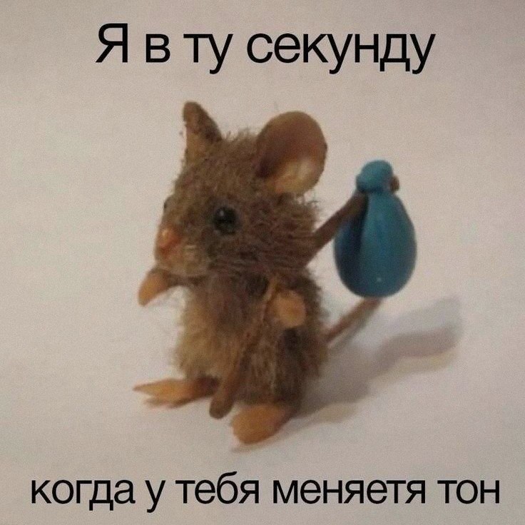 Ночная подборочка
Э, а куда геймплей ГТА делся