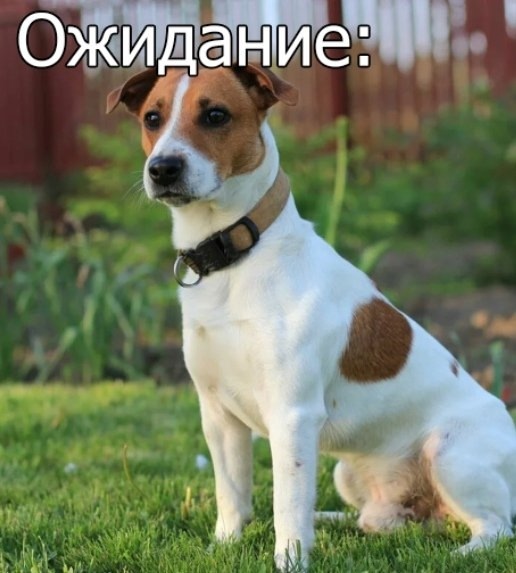 Ну почти...