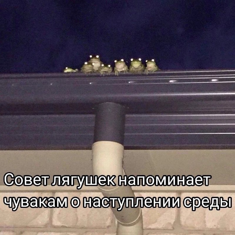 Утренняя подборочка