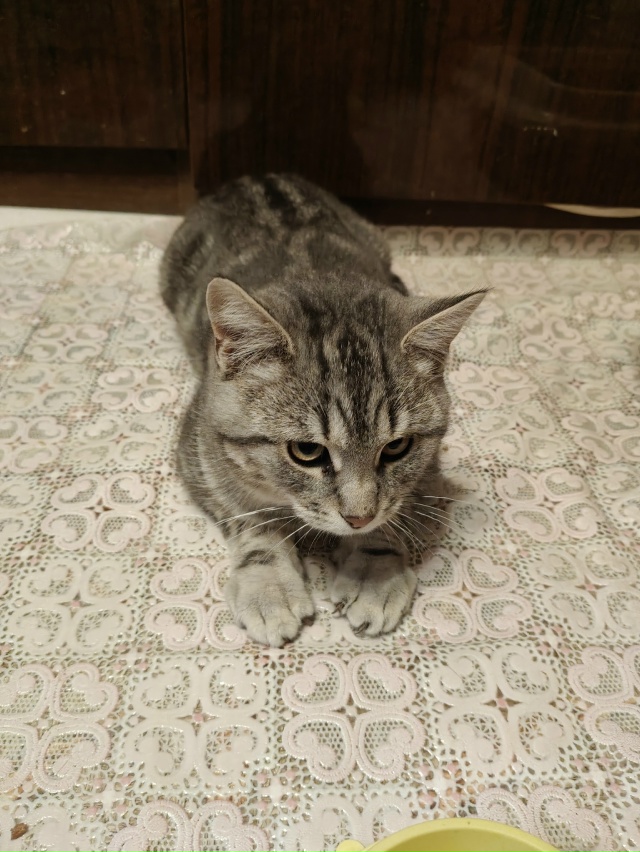 Помогаю информационно. На участке у пожилой женщины по...