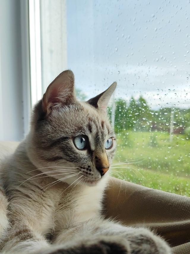 Наш ребёночек😻😻😻