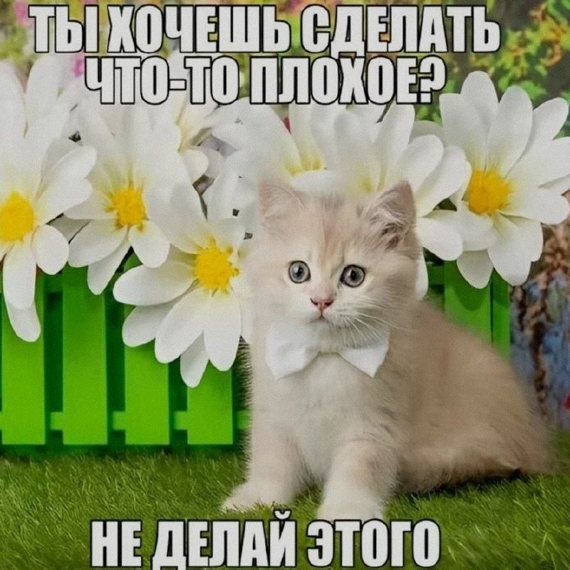 Ночная подборочка
Спать, режим