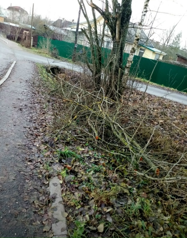 Экскурсия по городу.
Недоделки у спорт. площадки, кото?...