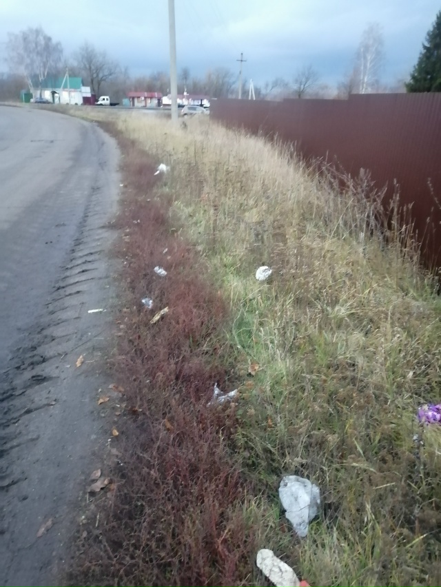 ‼Жители деревни Большое Шумаково бьют тревогу из-за з?...