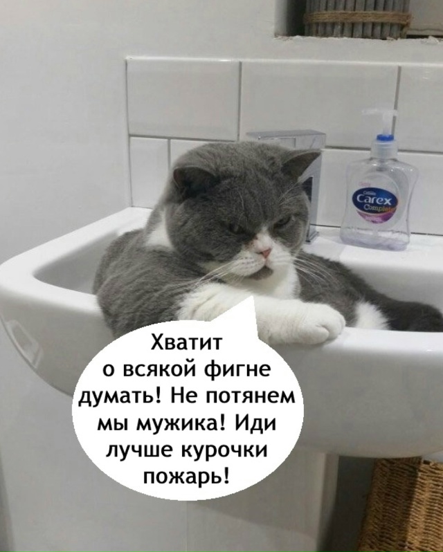 Как же он прав