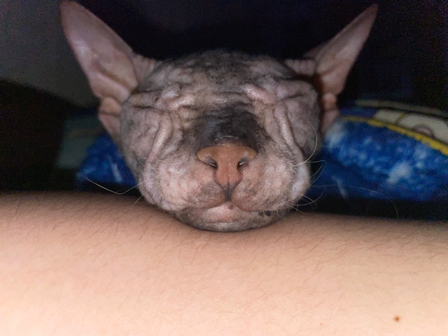 Мишель
эксперт по котлеткам с сыром, огурцам и кабачка?...