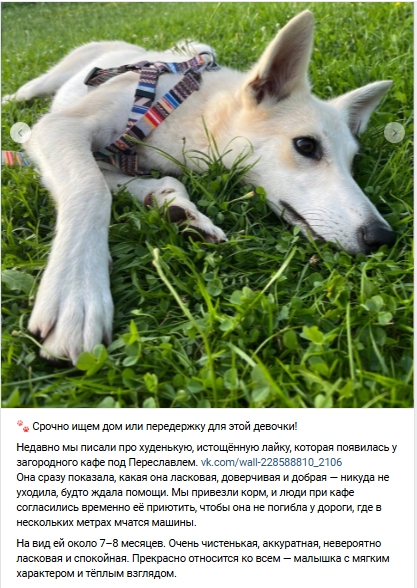 Пост добра. Распространите, пожалуйста.