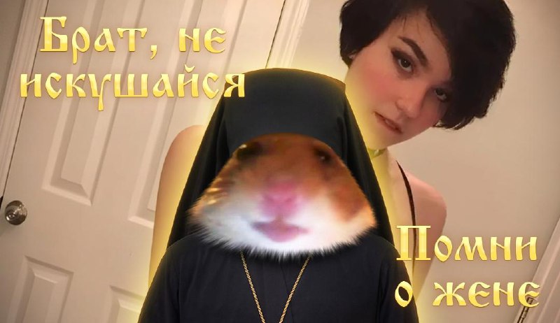 Люди проиграли хомякам в верности.
Исследователи составили рейтинг самых преданных партнеров: перв