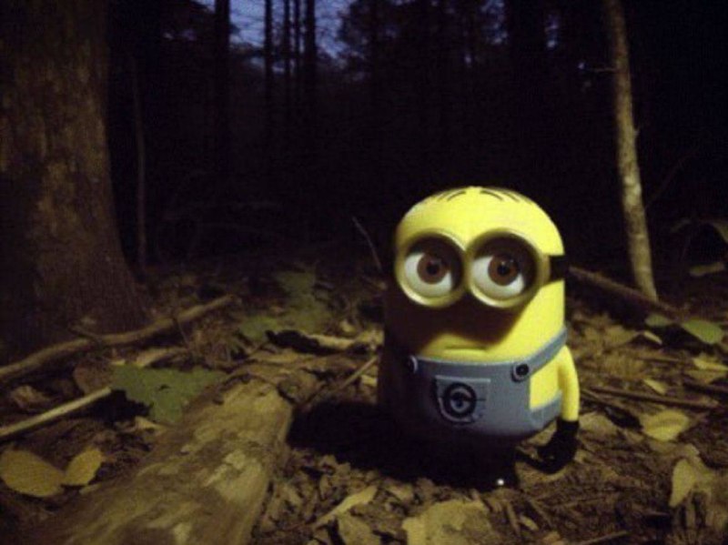 с каждым днём всё темнее и темнее с утра…….