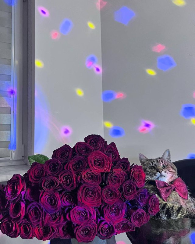 С Днём Святого Валентина!