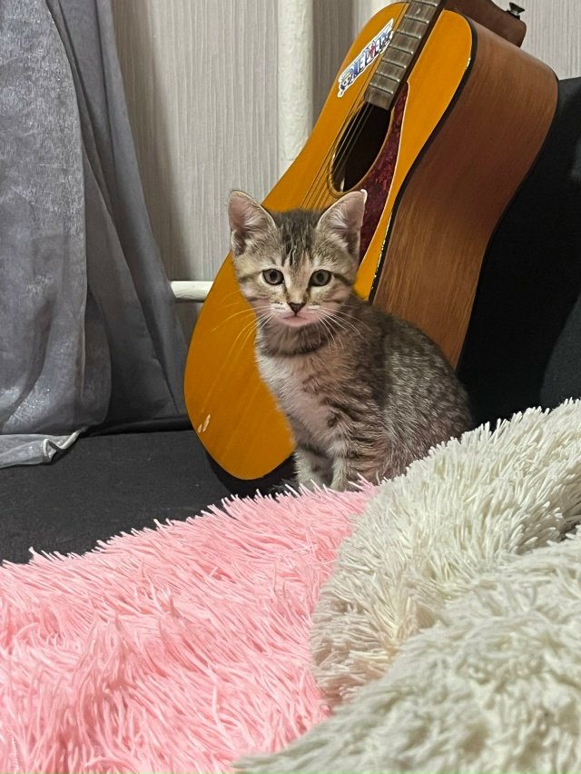 добрые люди, помогите пристроить эту девочку, забрали ?...