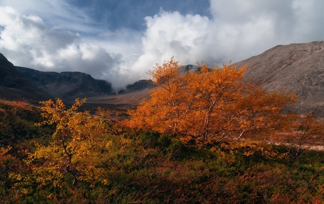 Женщины из Апатитов, как вам живётся в городе? Напишите...