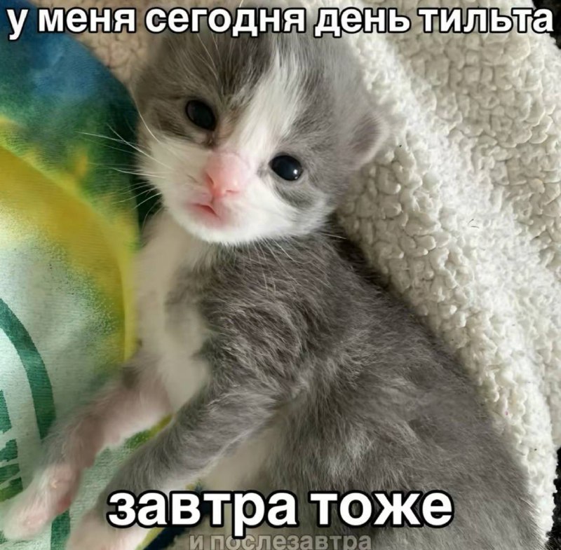 Утренняя подборочка