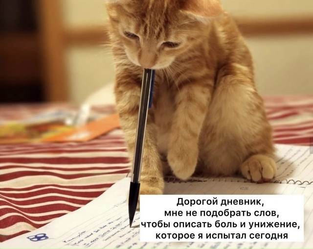 Рождённых 7, 13, 18 и 22 числа нельзя обижать, заявили нумер...