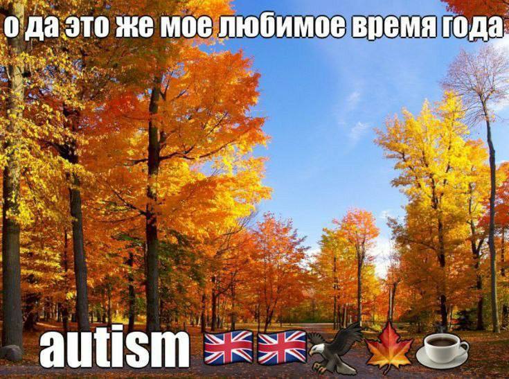 Утренняя подборочка