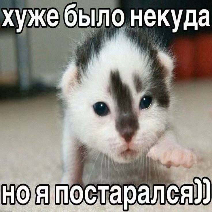 Утренняя подборочка