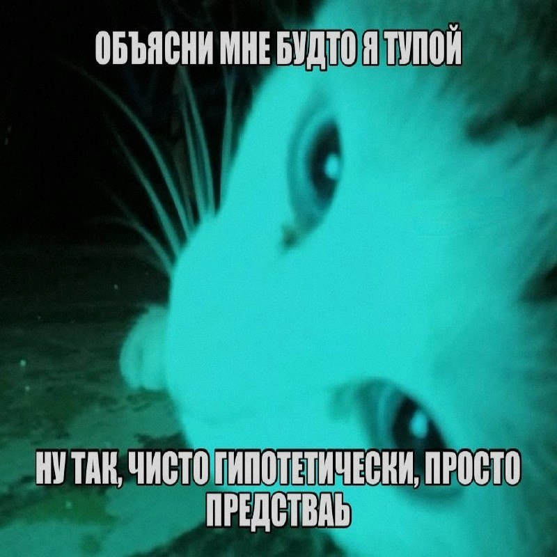 Ночная подборочка
Спать, режим