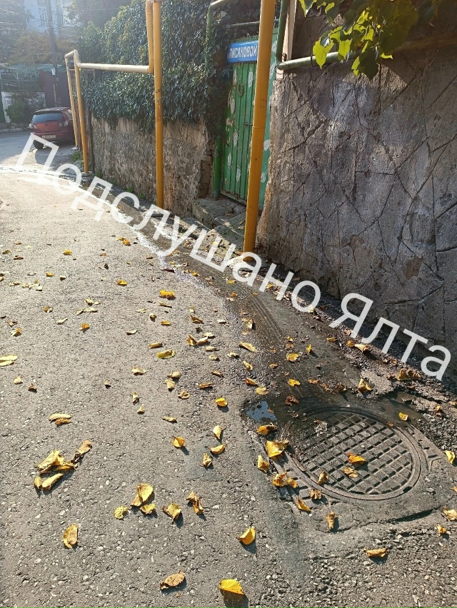 🆘‼️Помогите! Утопаем в нечистотах!
На улице Н.Лисано?...