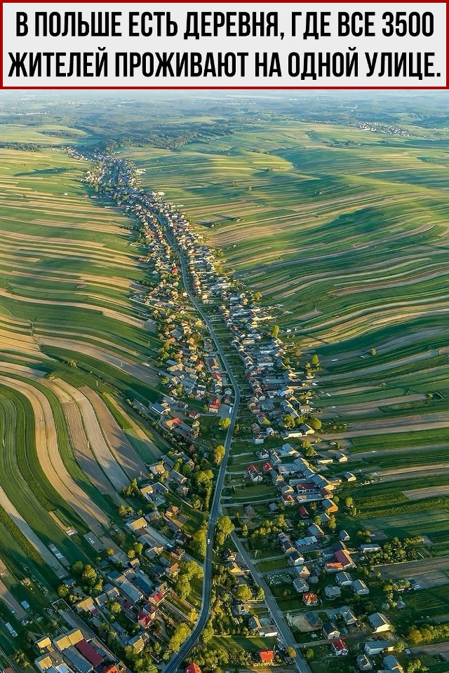 «Я живу на главной улице» - может сказать каждый житель...
