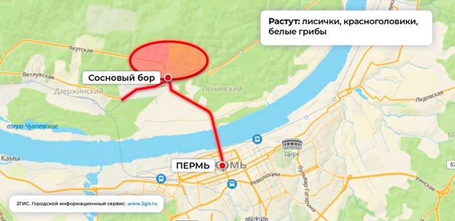 📍Грибные точки рядом с Пермью (~50км)
Хотите грибов, но ...
