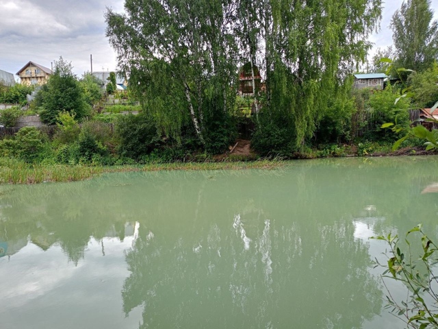 Вчера, 17.07.2025 в воду залива, впадающего выше Камской ГЭС...