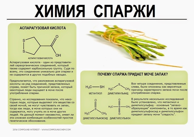 В еде - одна химия! Ну и ещё немного физики и биологии :)
...