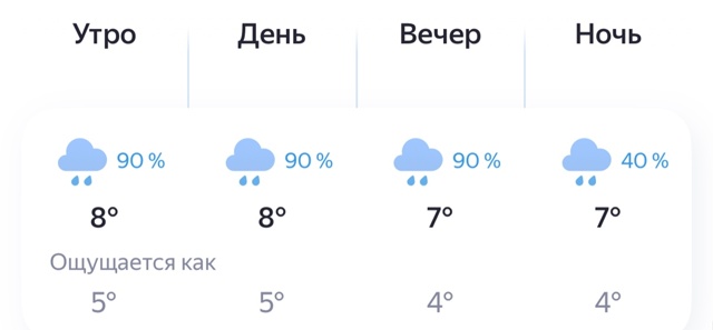 ‼️Погода Брянск сегодня