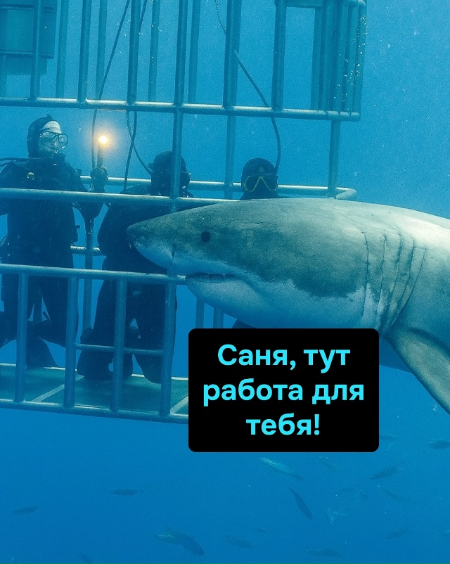 Некоторые вакансии могут кусаться, зато зарплата обещ?...