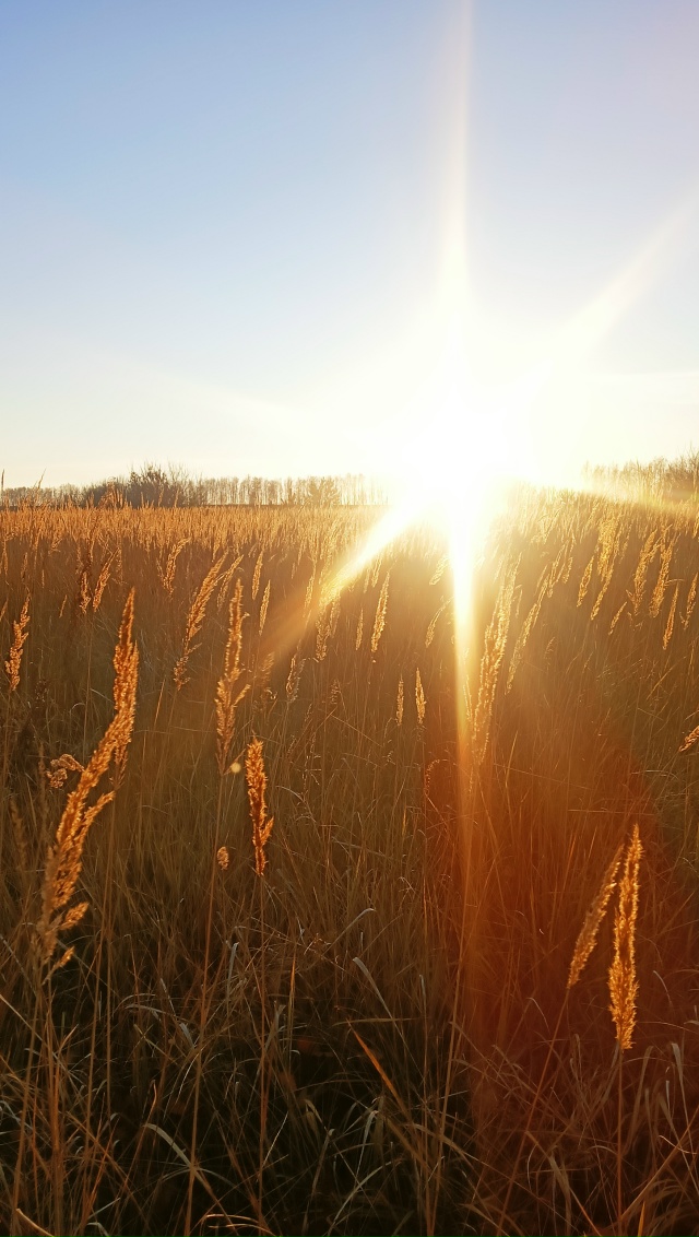 Пруд в Барашево Ульяновской области, кто знает сколько...