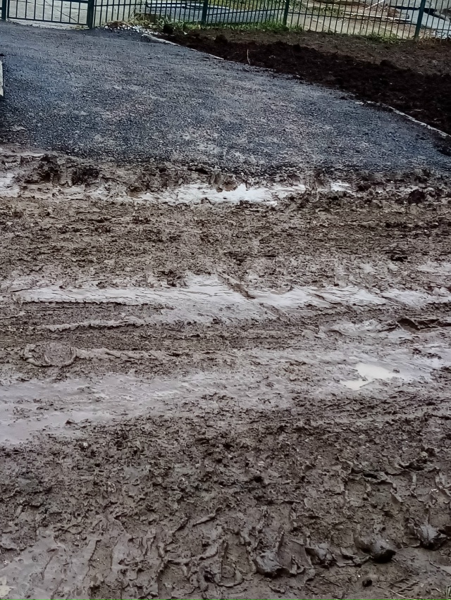 Очень долго все ждали, когда откроется главный вход в д...