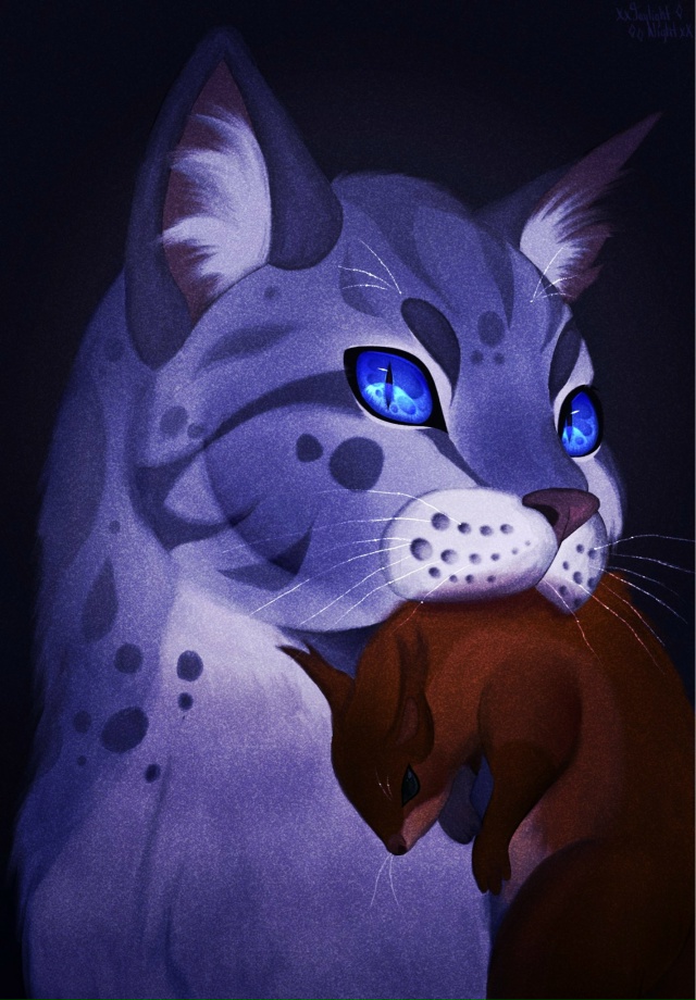 Уголек
© Jaylight_Night
#KV_ZZ_ART