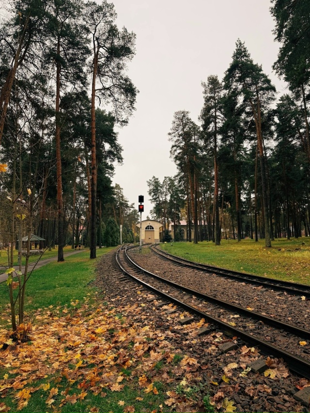 Кратово сегодня
Фото: [club214798849|@vanderdrone]