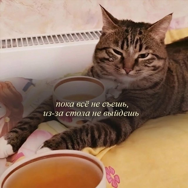 Эти фразы в детстве слышал каждый😅