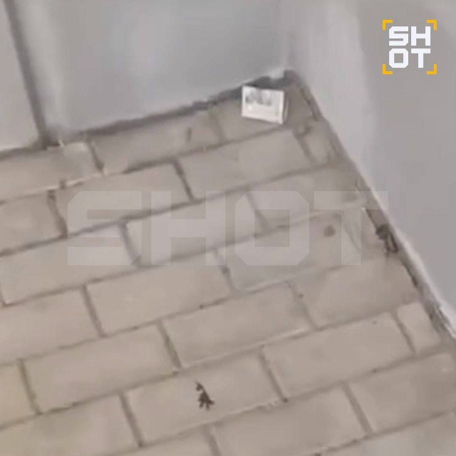 ‼️Родители, срочная информация. К сожалению, подобное...