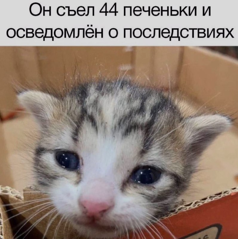 Ночная подборочка
Выходные, не спим