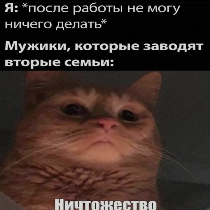 Ночная подборочка
Спать, режим