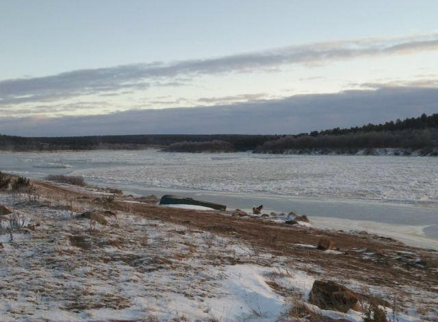 😱В Ловозерском районе пропал человек.
В ночь 01.01.2026 г...