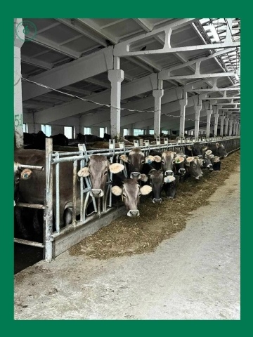 📌Педагоги МБОУ «СОШ № 6», работающие в агротехнологич...