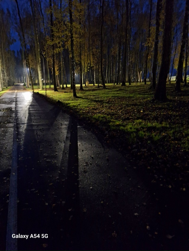 Что случилось с освещением в парке на Южном. Из четырех...