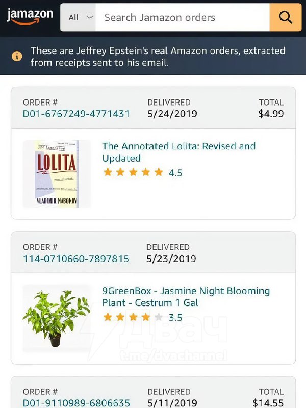 Появился «тёмный Google» по делу Джеффри Эпштейна — это единая база, где собраны почта, история пере